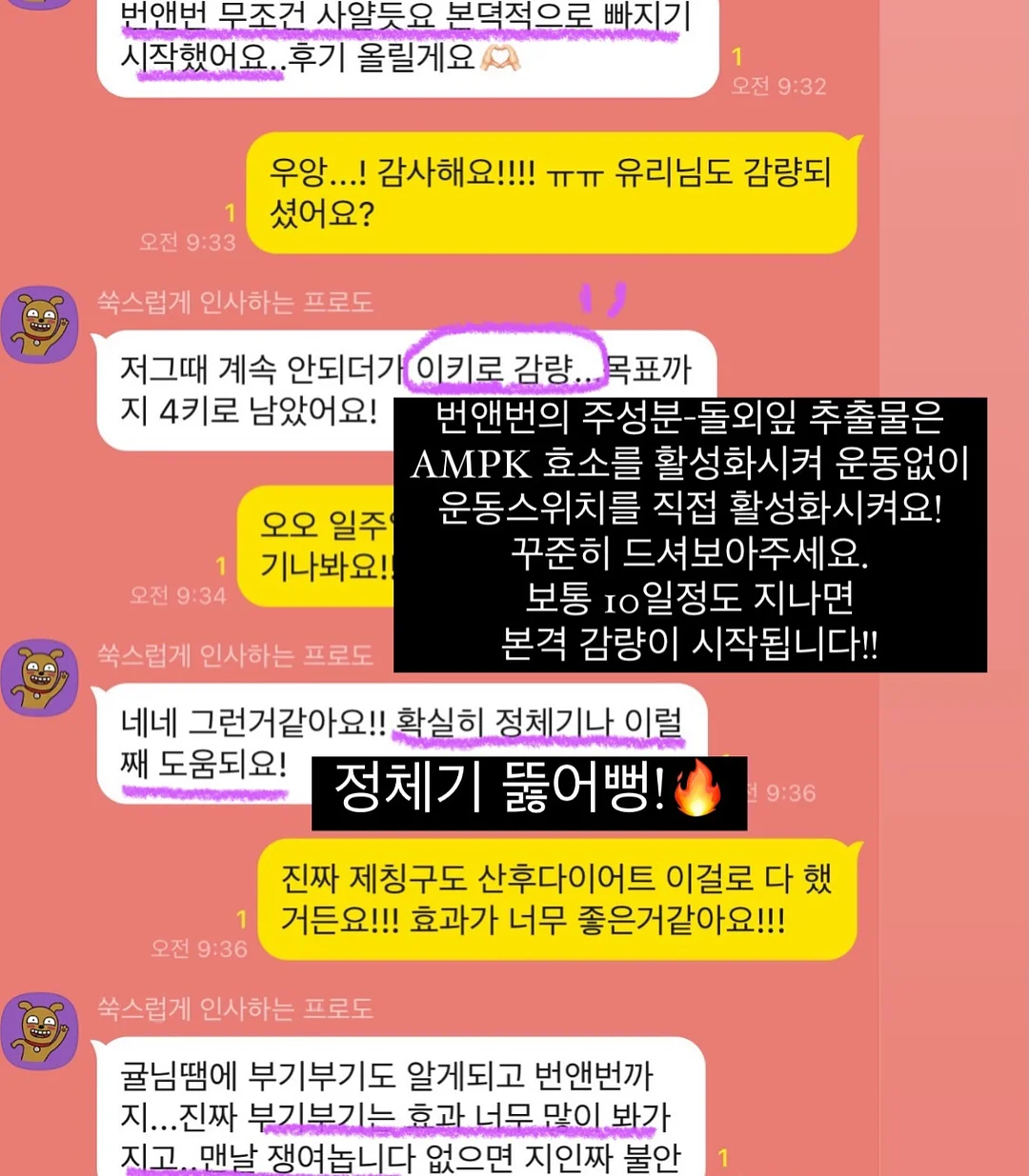 컬리지 썸머맨투맨티/나일론 포켓팬츠 8