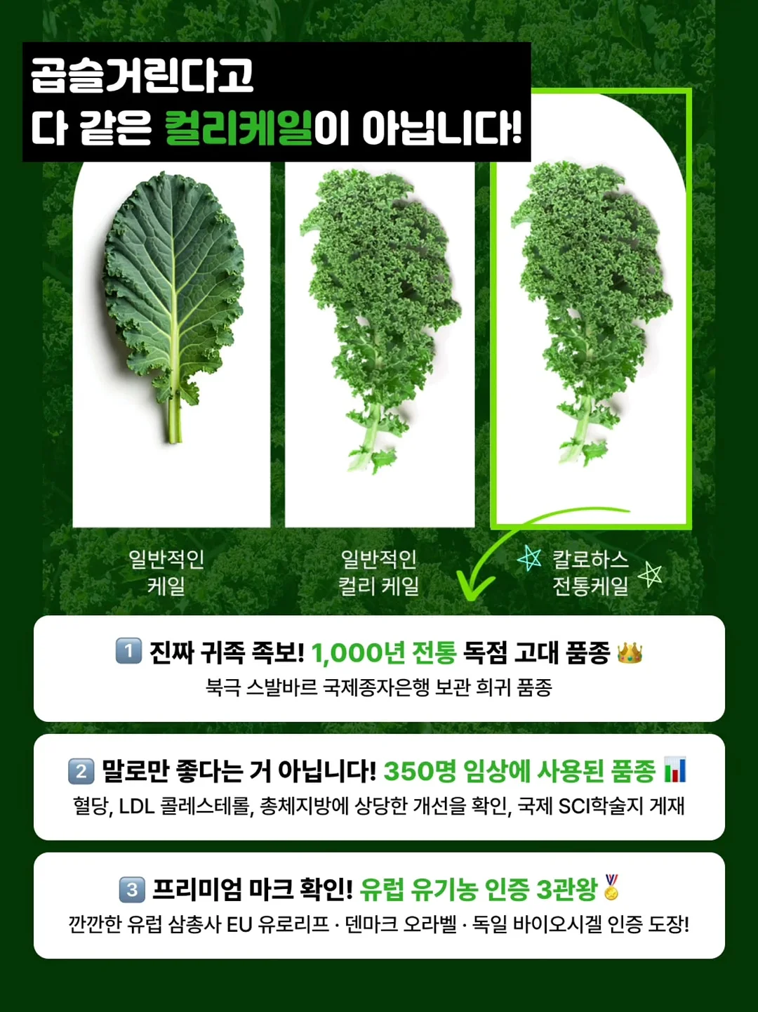 전자레인지 클리너 6