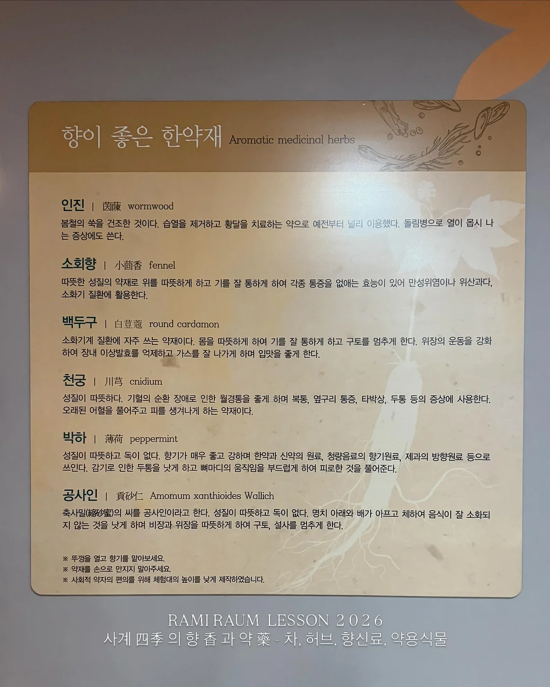 썸머청 11