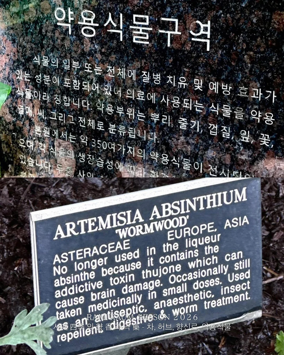 썸머청 13