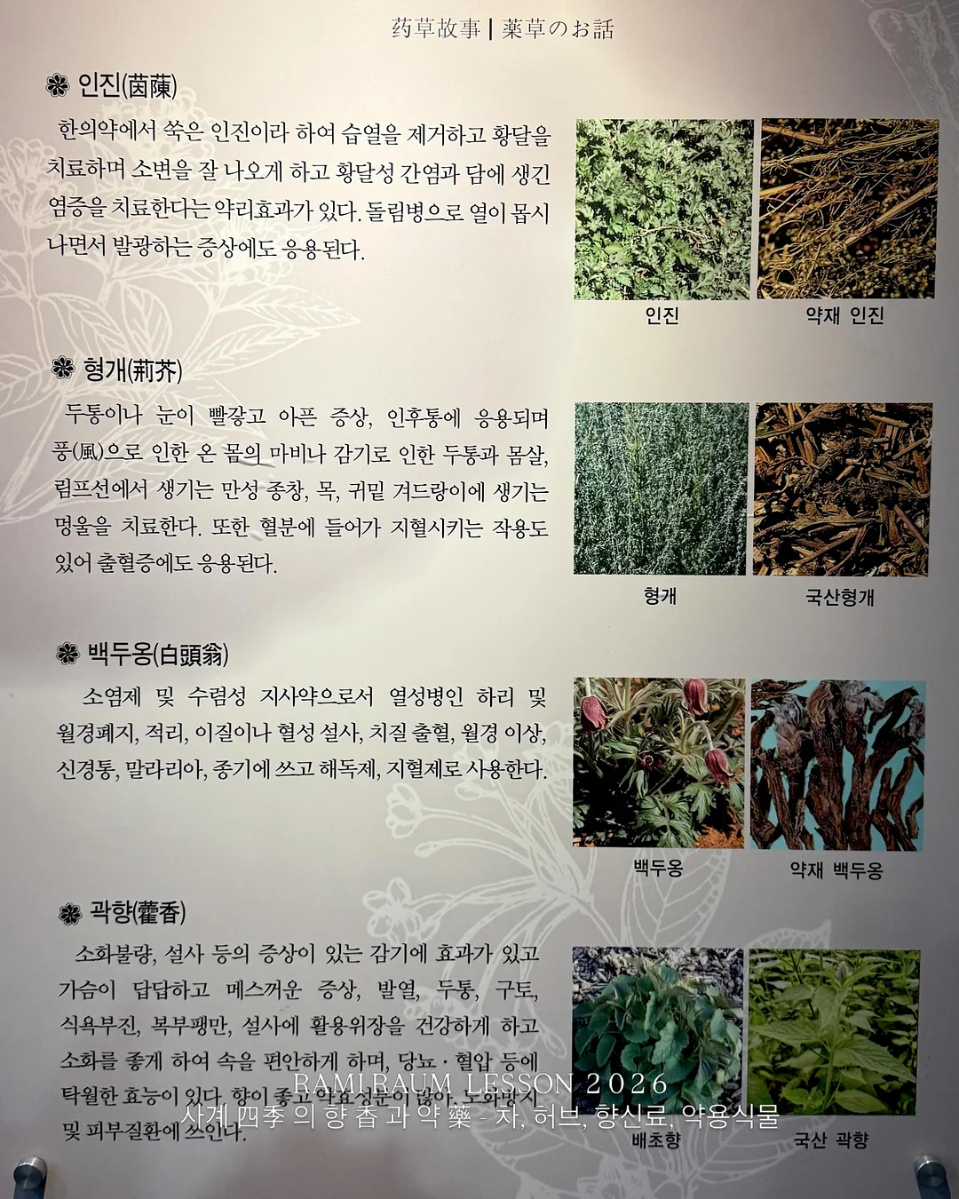 썸머청 7