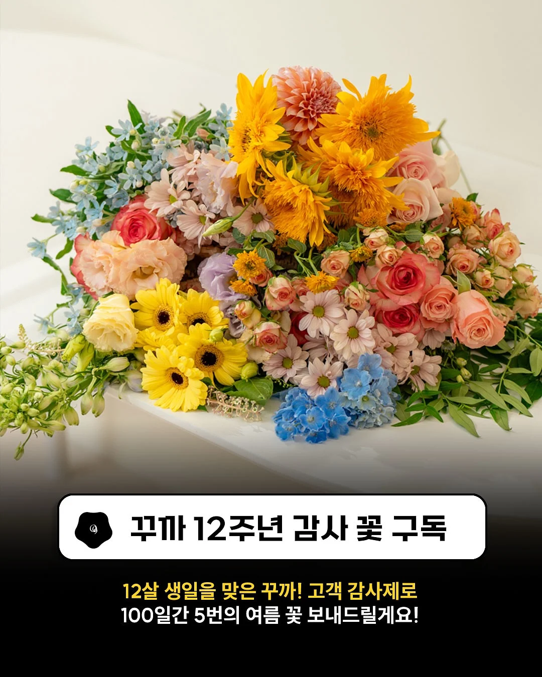 마이디데이 당케어 귀리식이섬유 2
