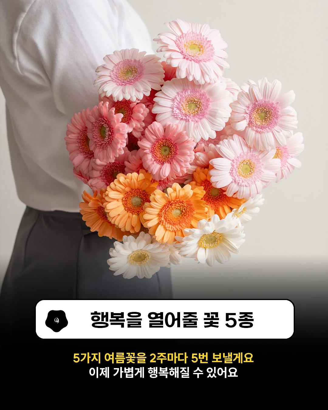 마이디데이 당케어 귀리식이섬유 3