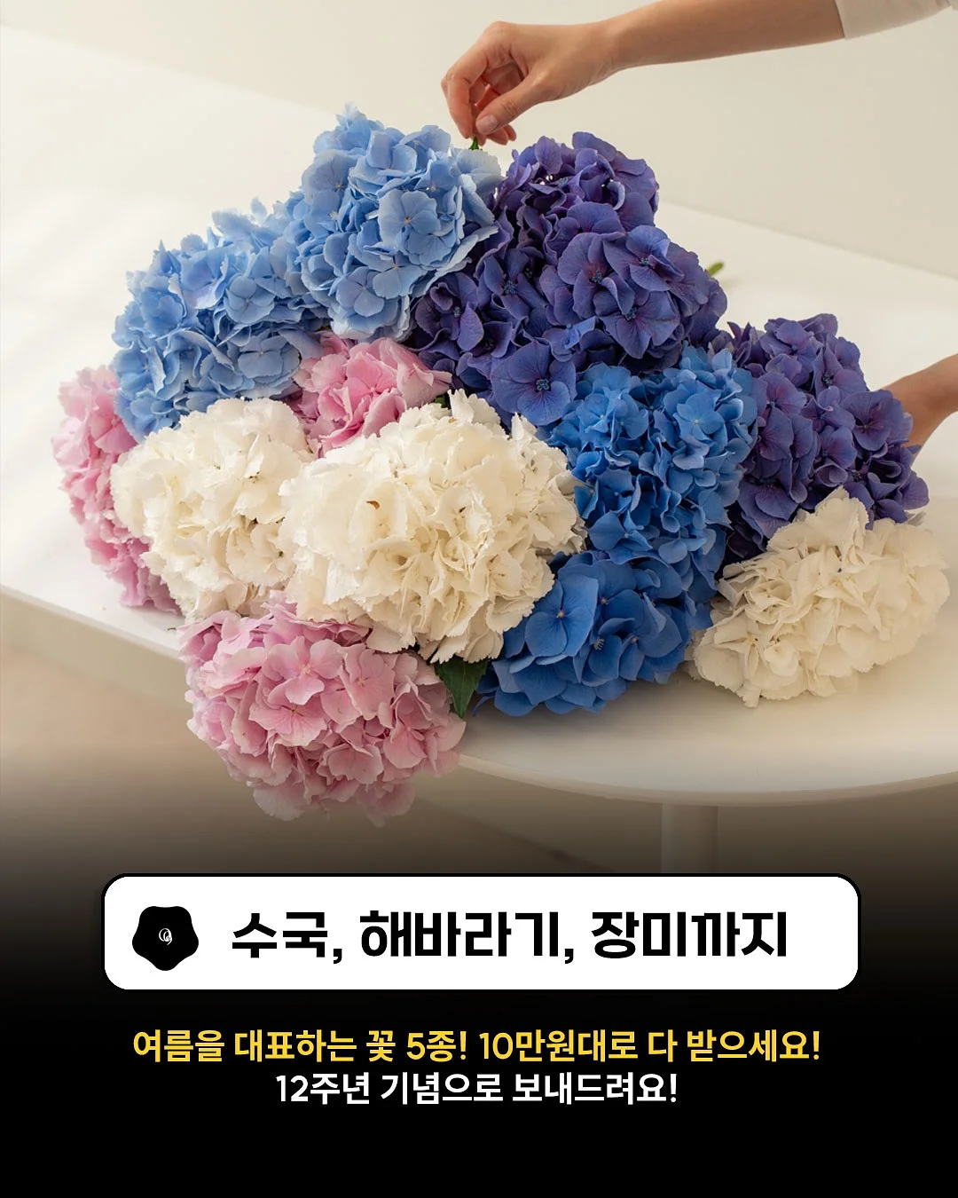 마이디데이 당케어 귀리식이섬유 4