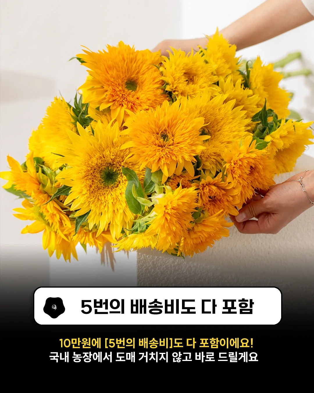 마이디데이 당케어 귀리식이섬유 5