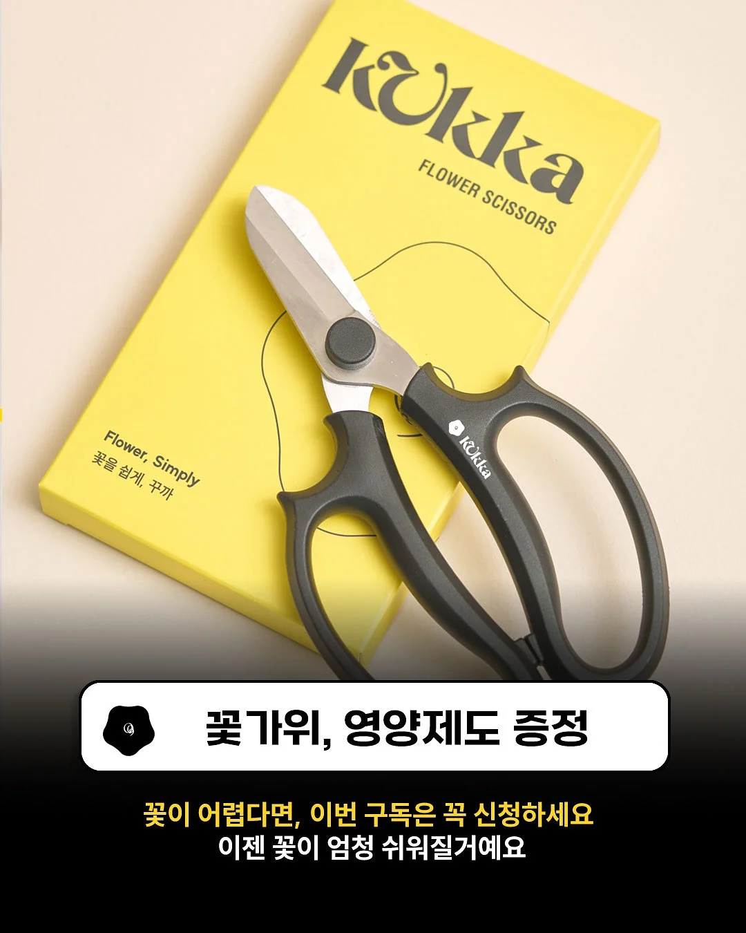 마이디데이 당케어 귀리식이섬유 6