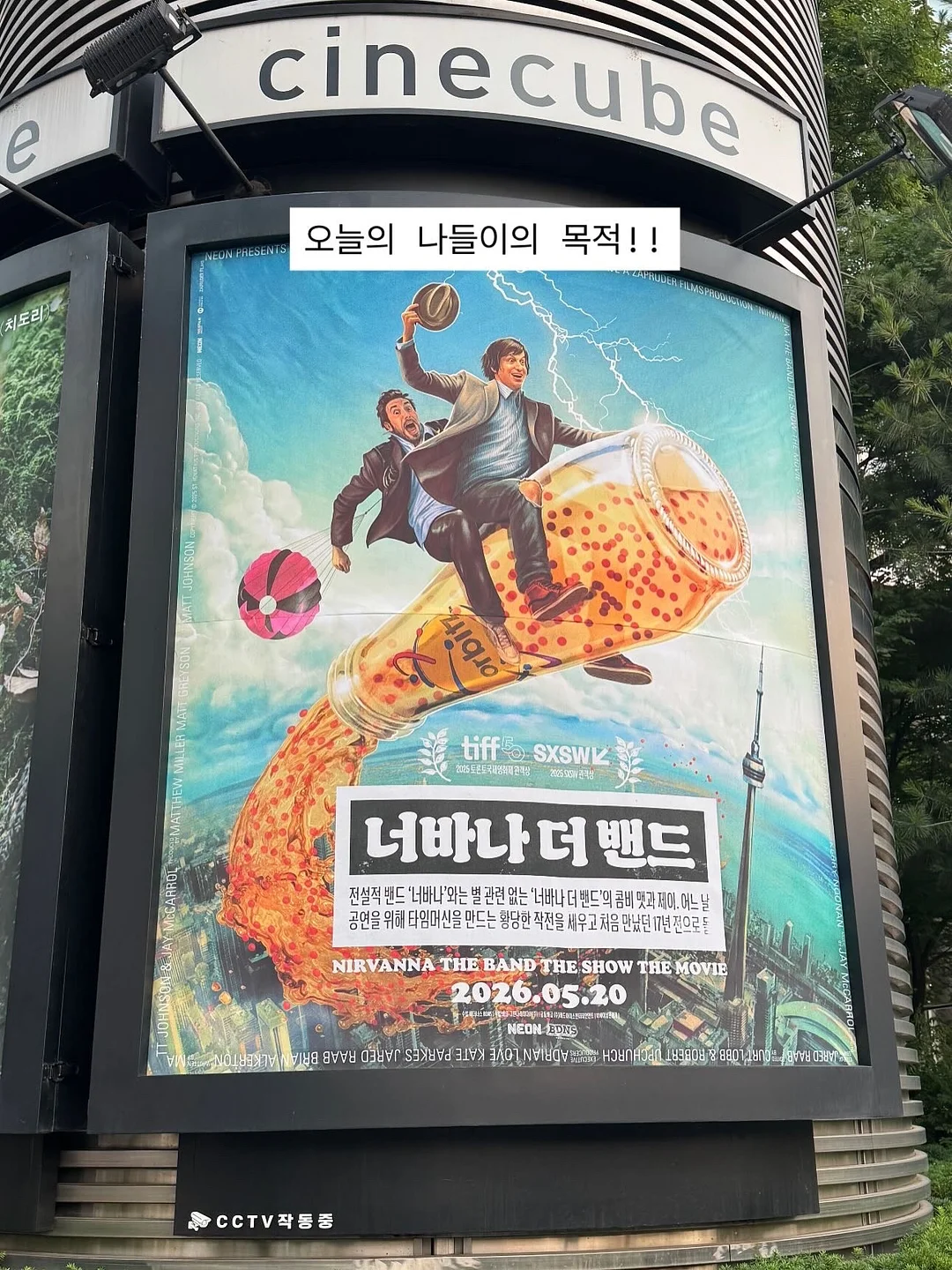 백조 작약 부케 6
