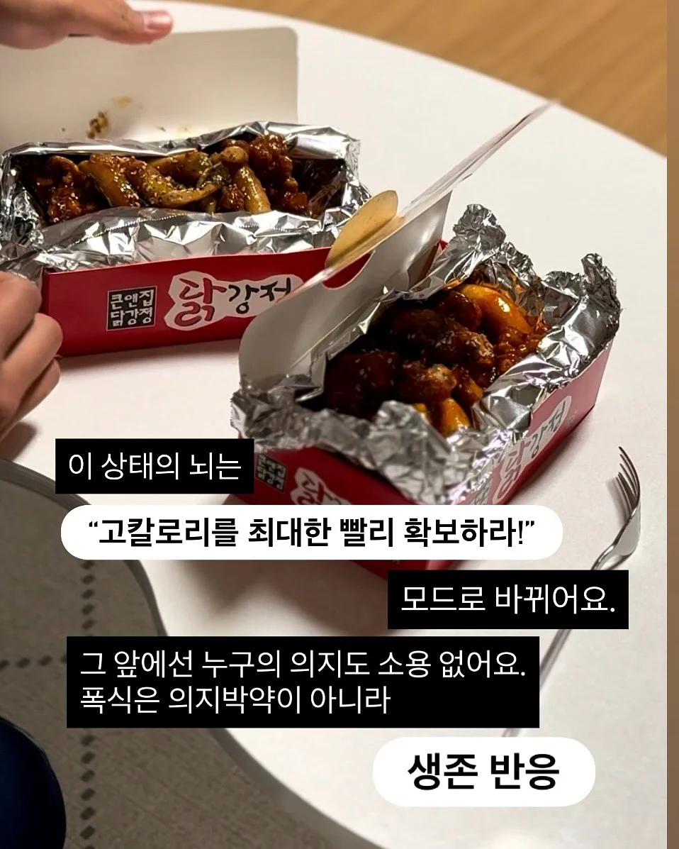 비락 올바른 무항생제우유 5