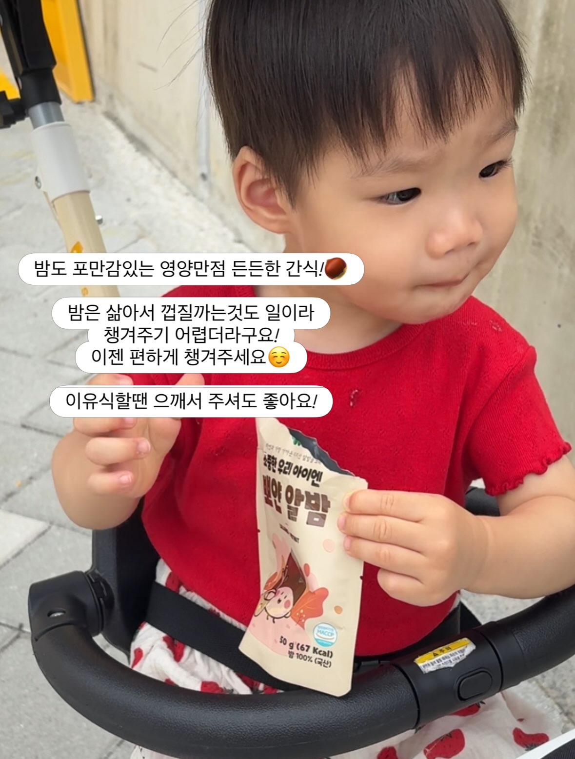 아기파라솔 10