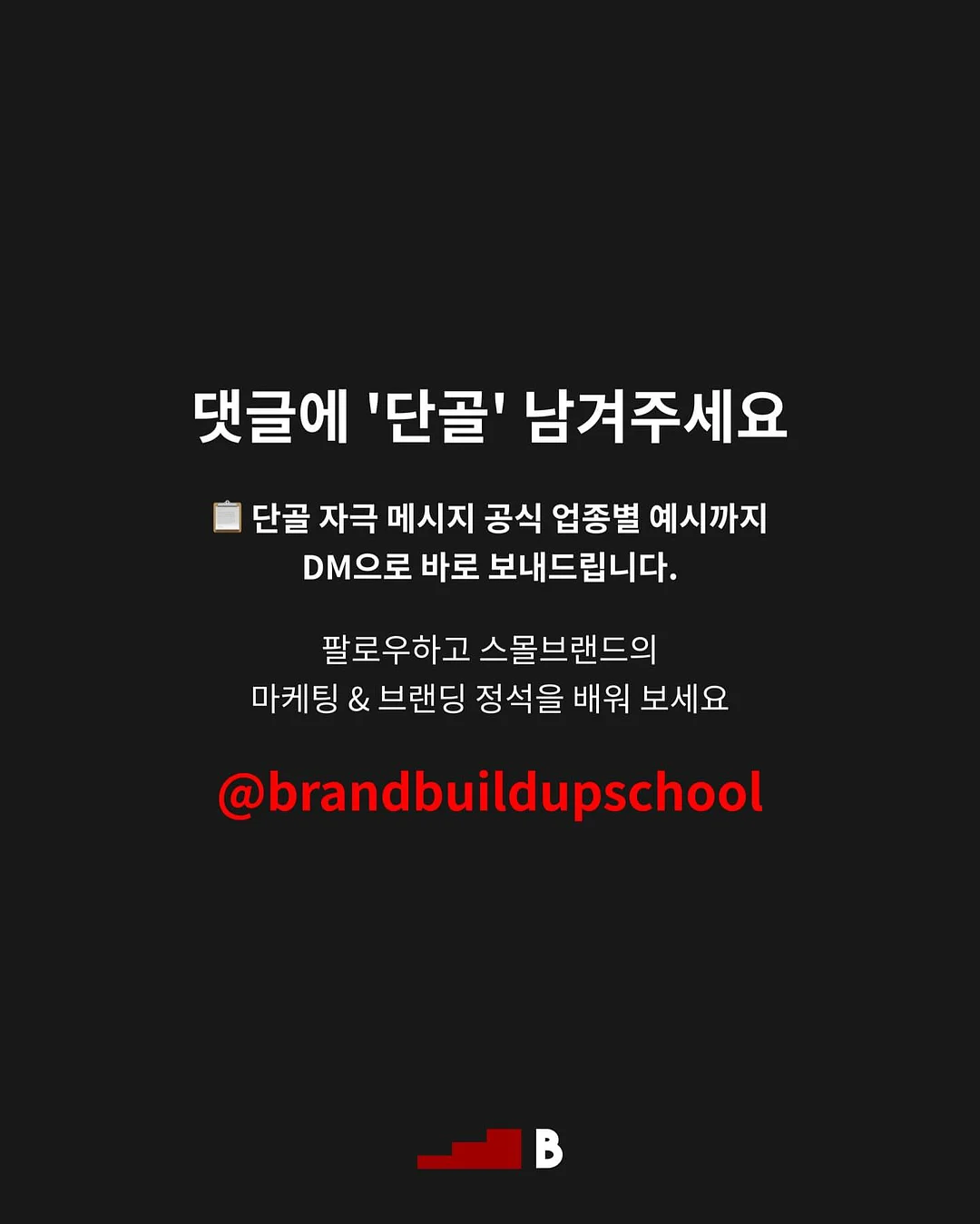 데일리베베 자수카라 블랑 8