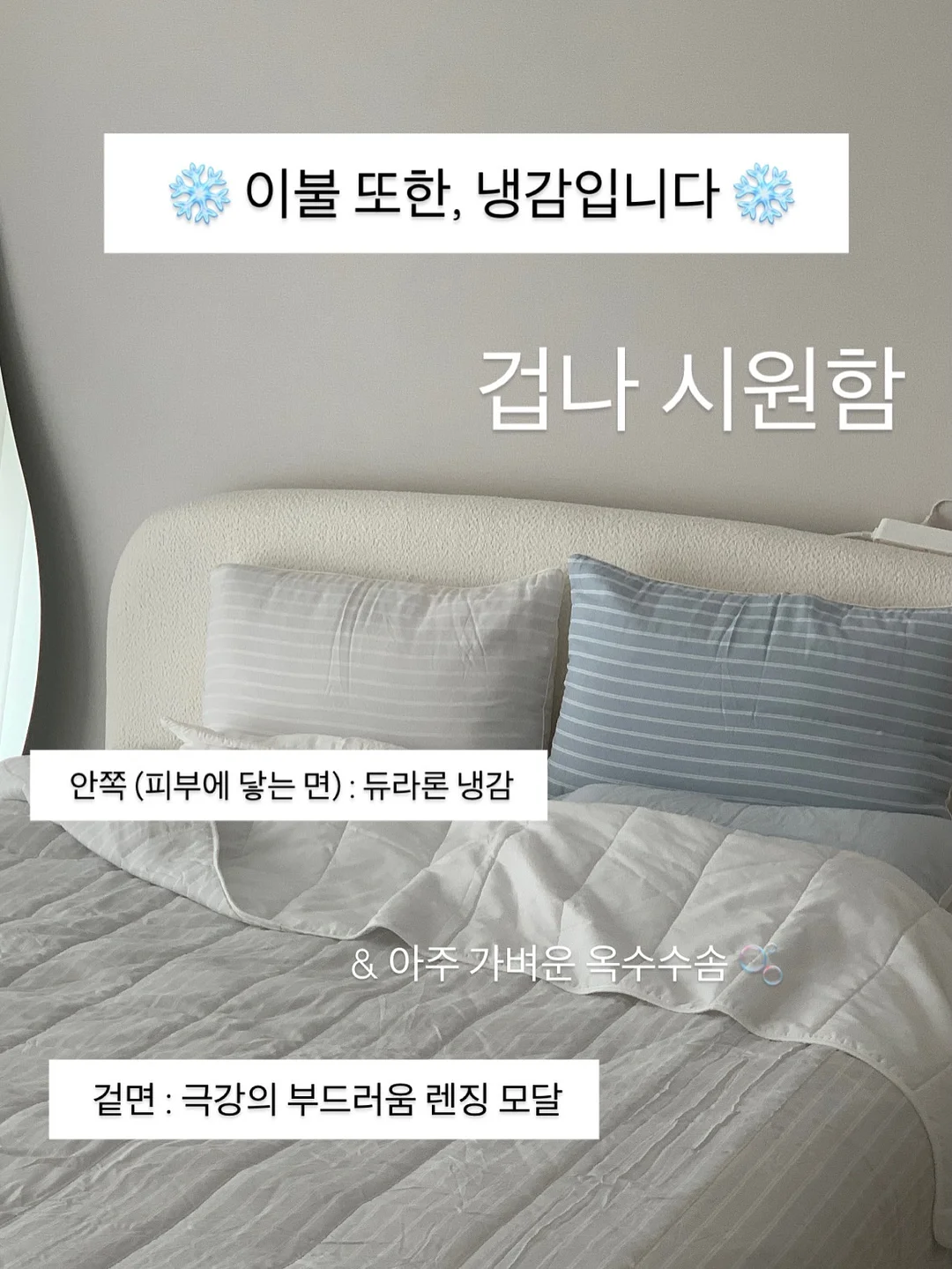 자외선 거울 11