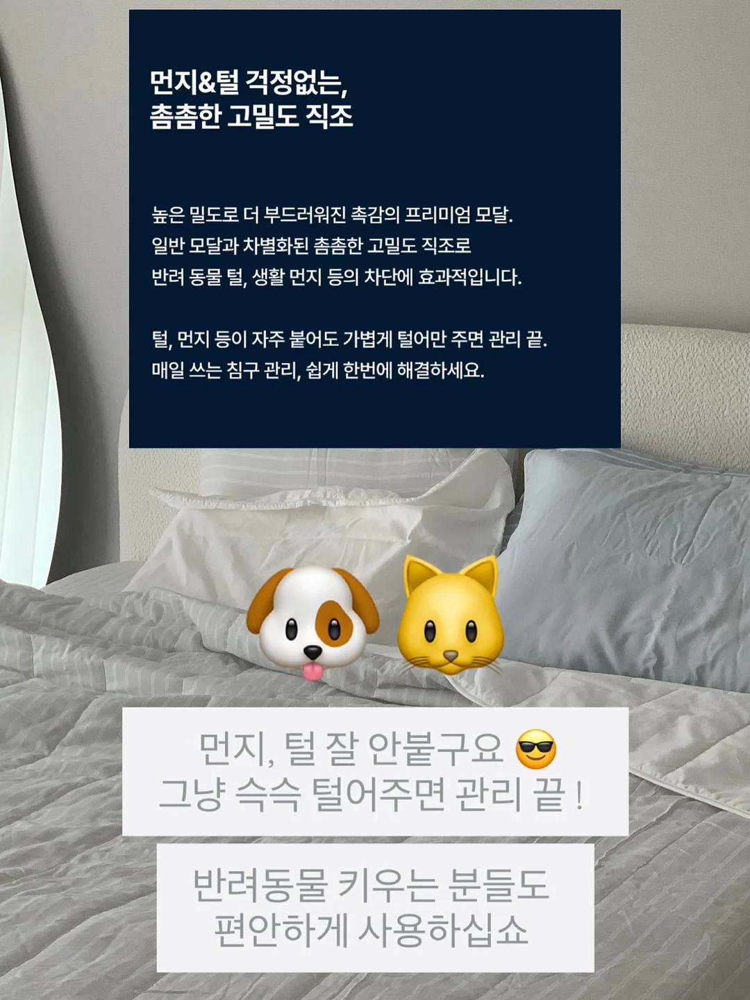 자외선 거울 14