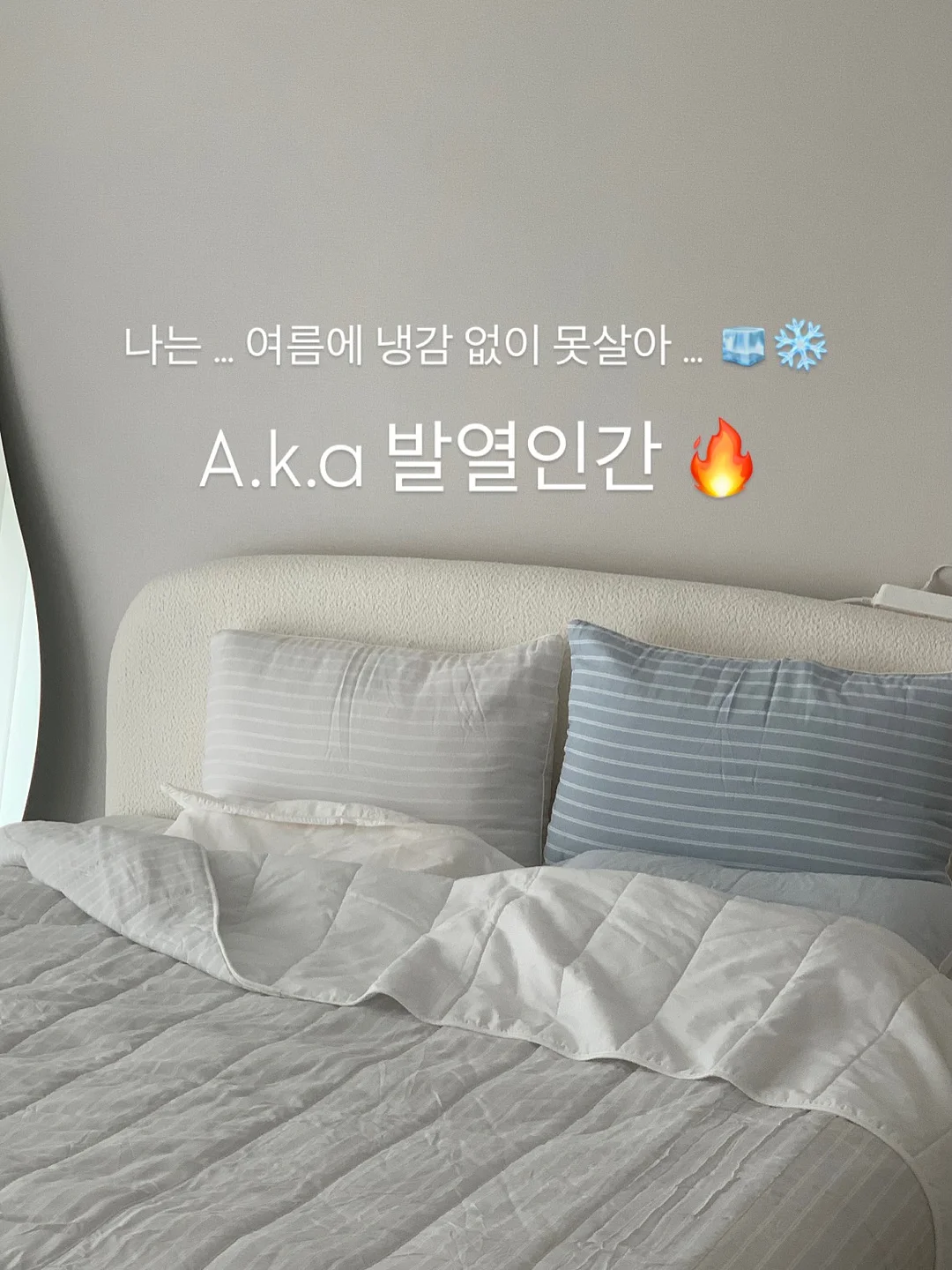 자외선 거울 17