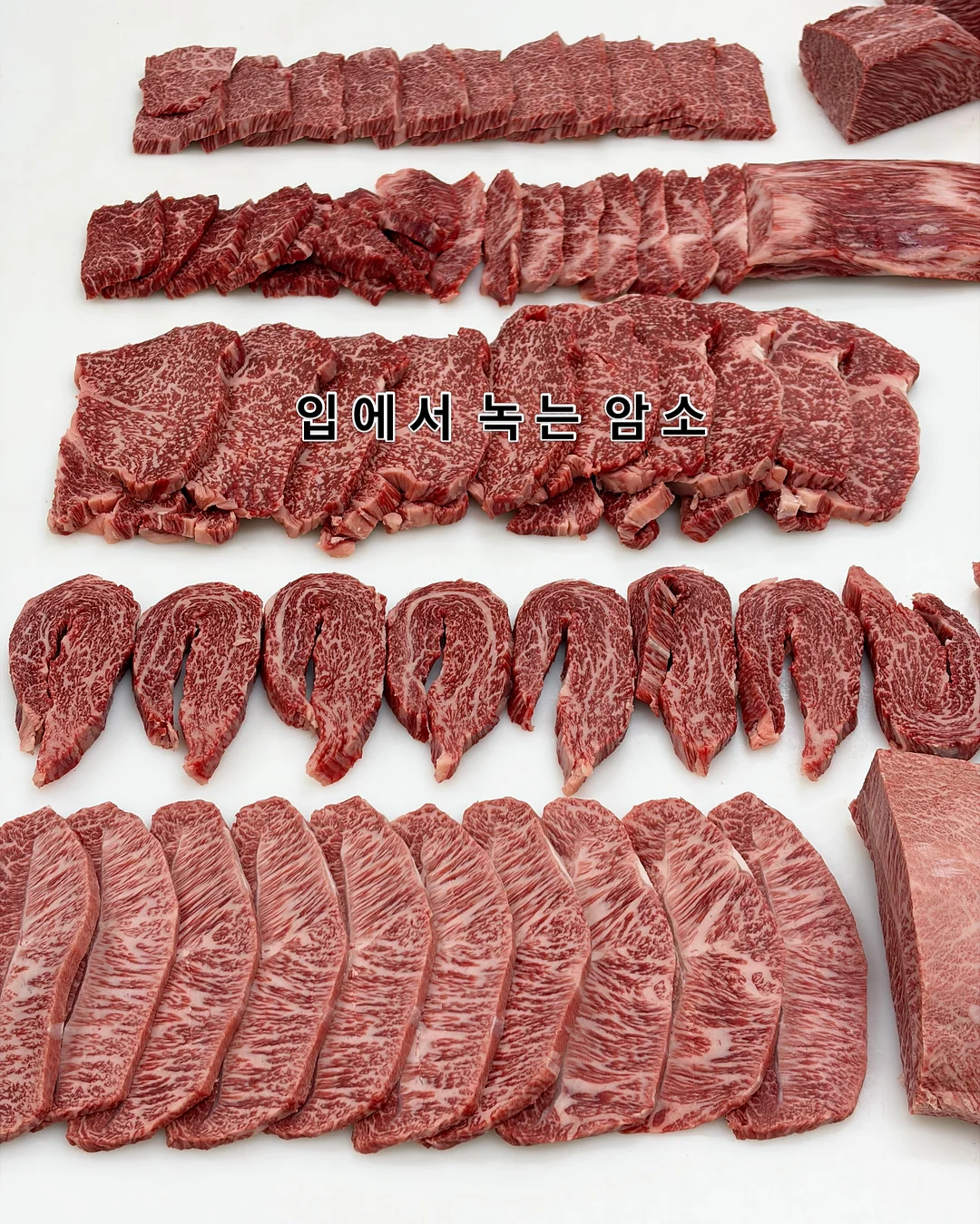 미테르 마그네틱 독서대 1