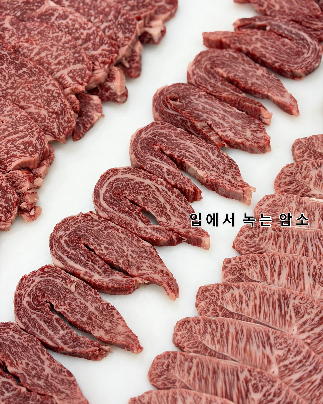 미테르 마그네틱 독서대 2