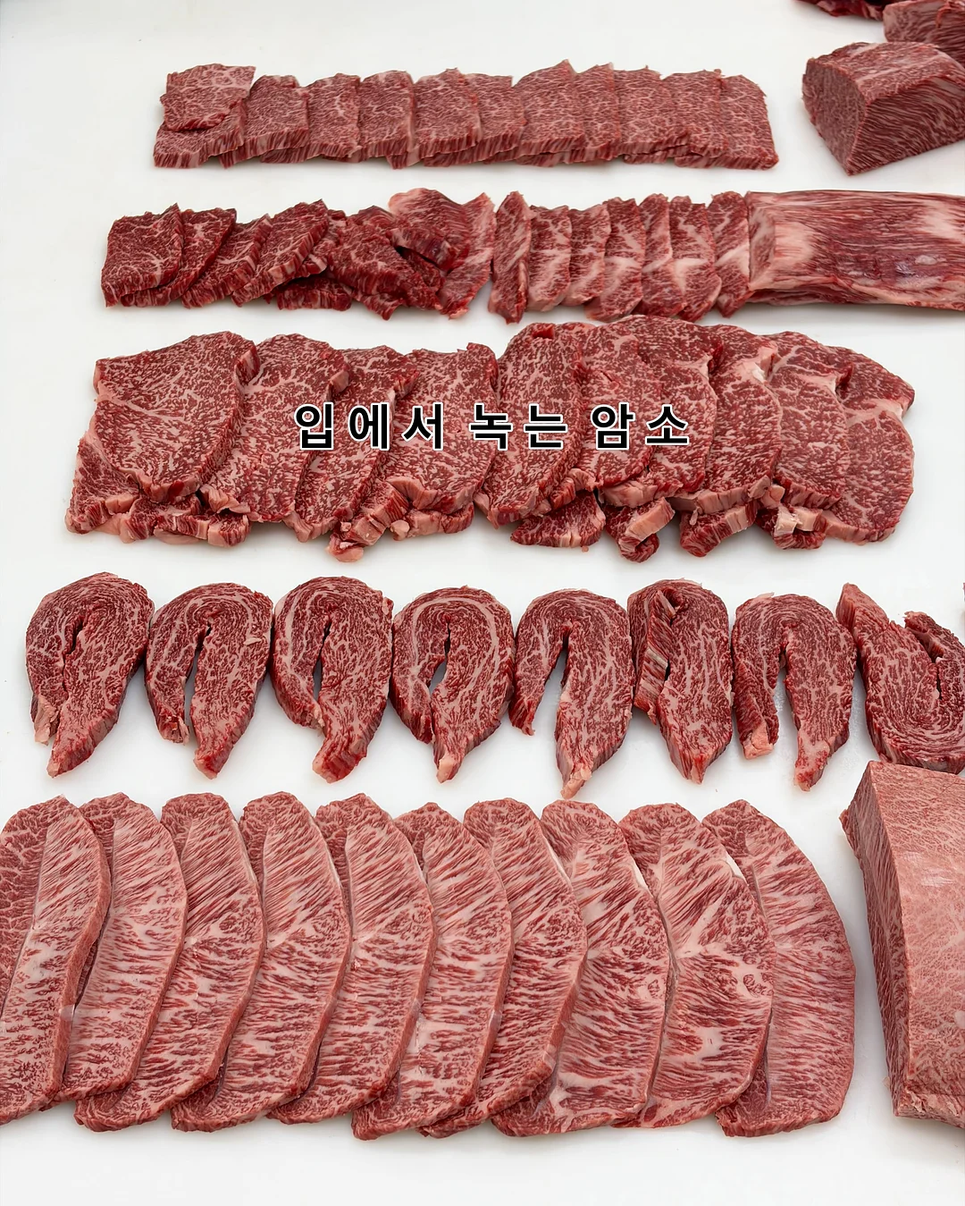 미테르 마그네틱 독서대 4