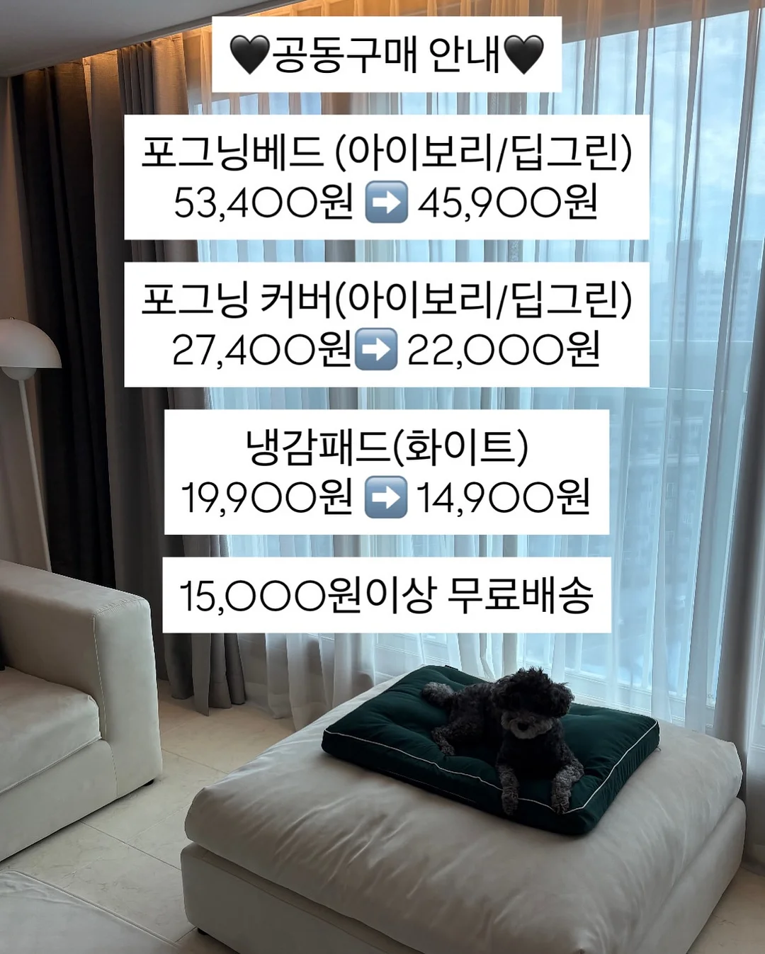 불꽃 물총 13