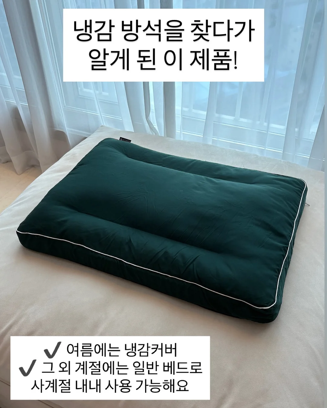 불꽃 물총 2