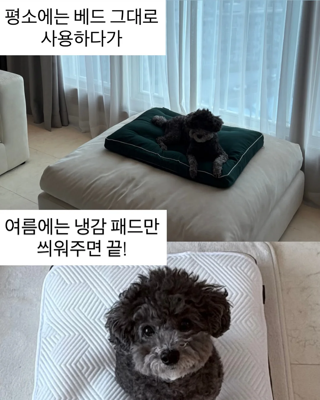 불꽃 물총 3