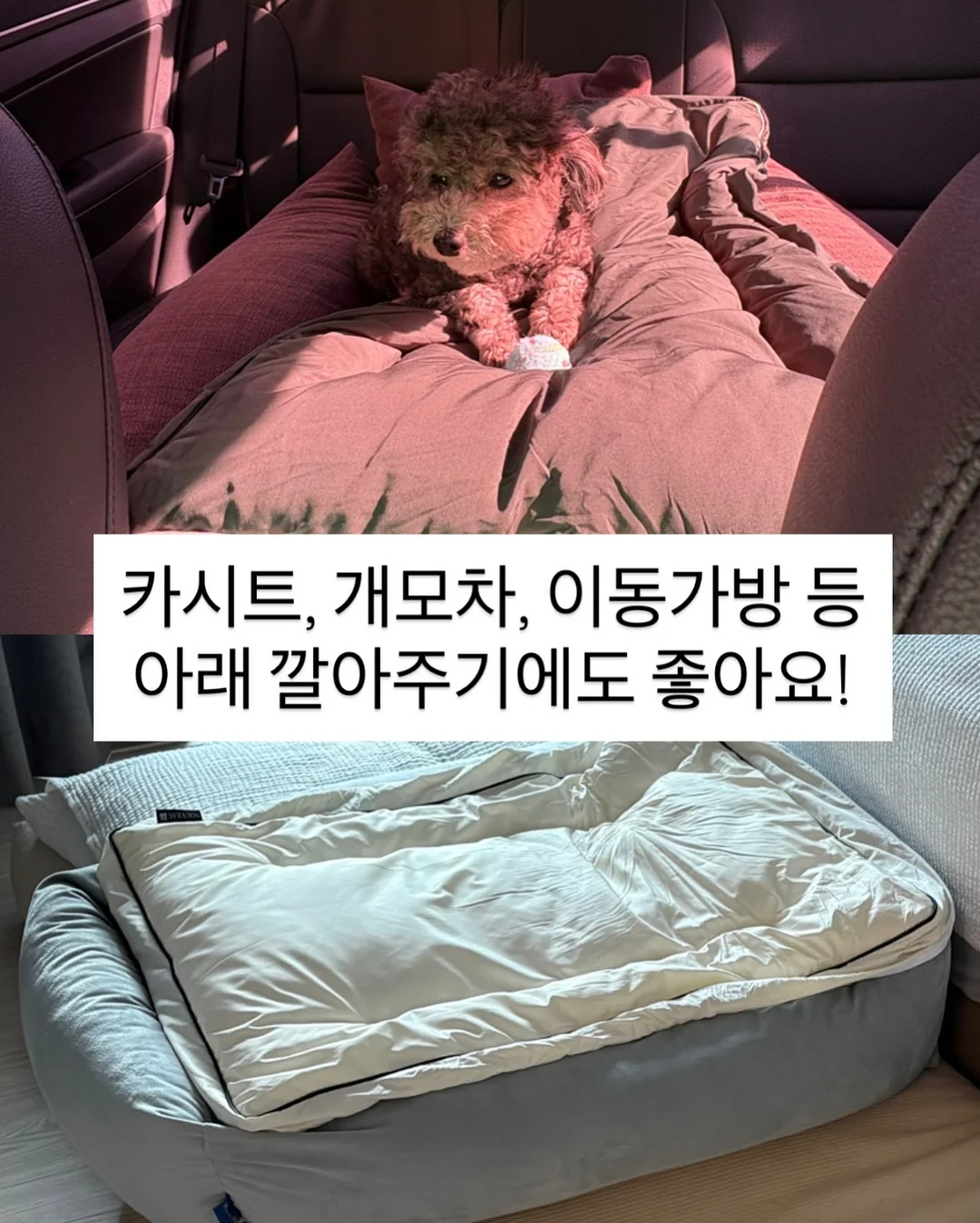 불꽃 물총 10