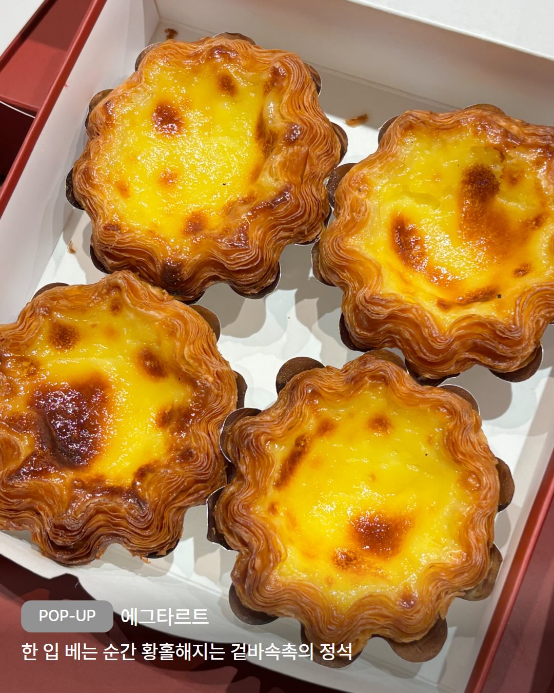 카네이션 헤어밴드 3