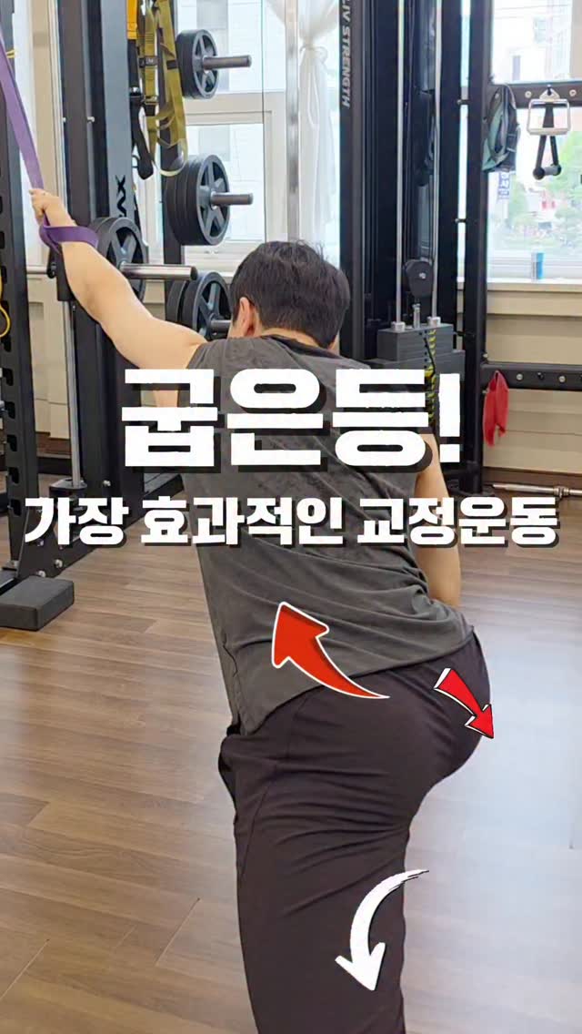 음식물 찌꺼기 안 붙는 수세미