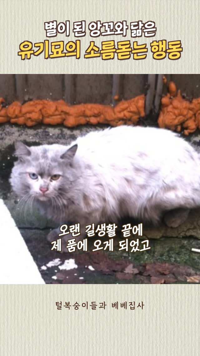 ALO YOGA 워시드 듀티 캡