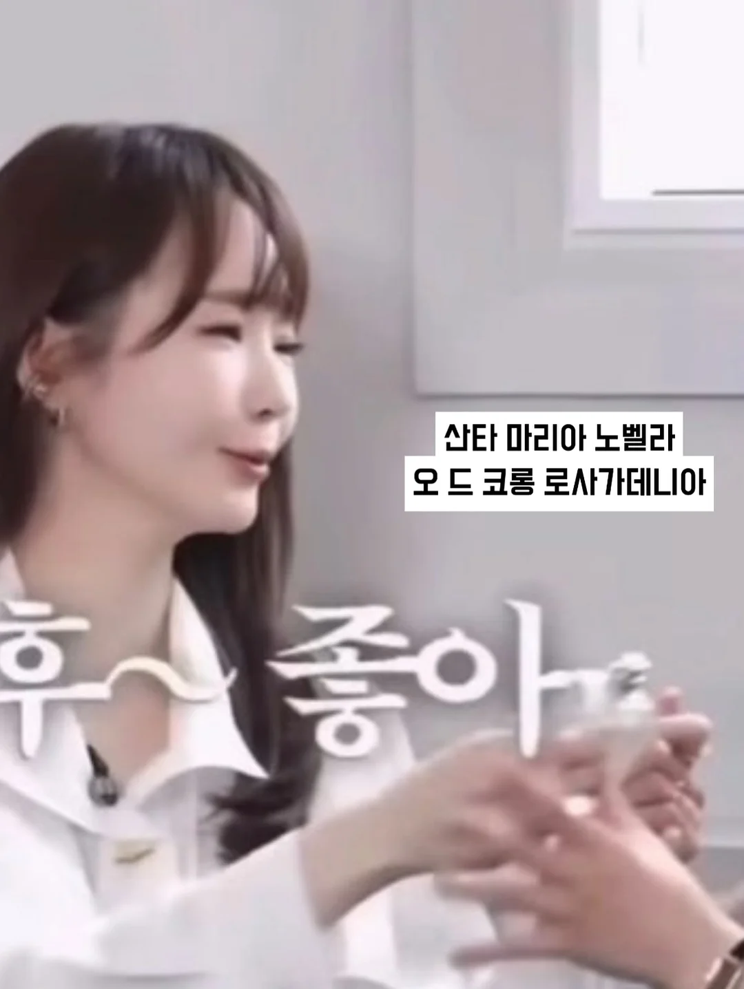 휴대용 고압 스팀 청소기 6
