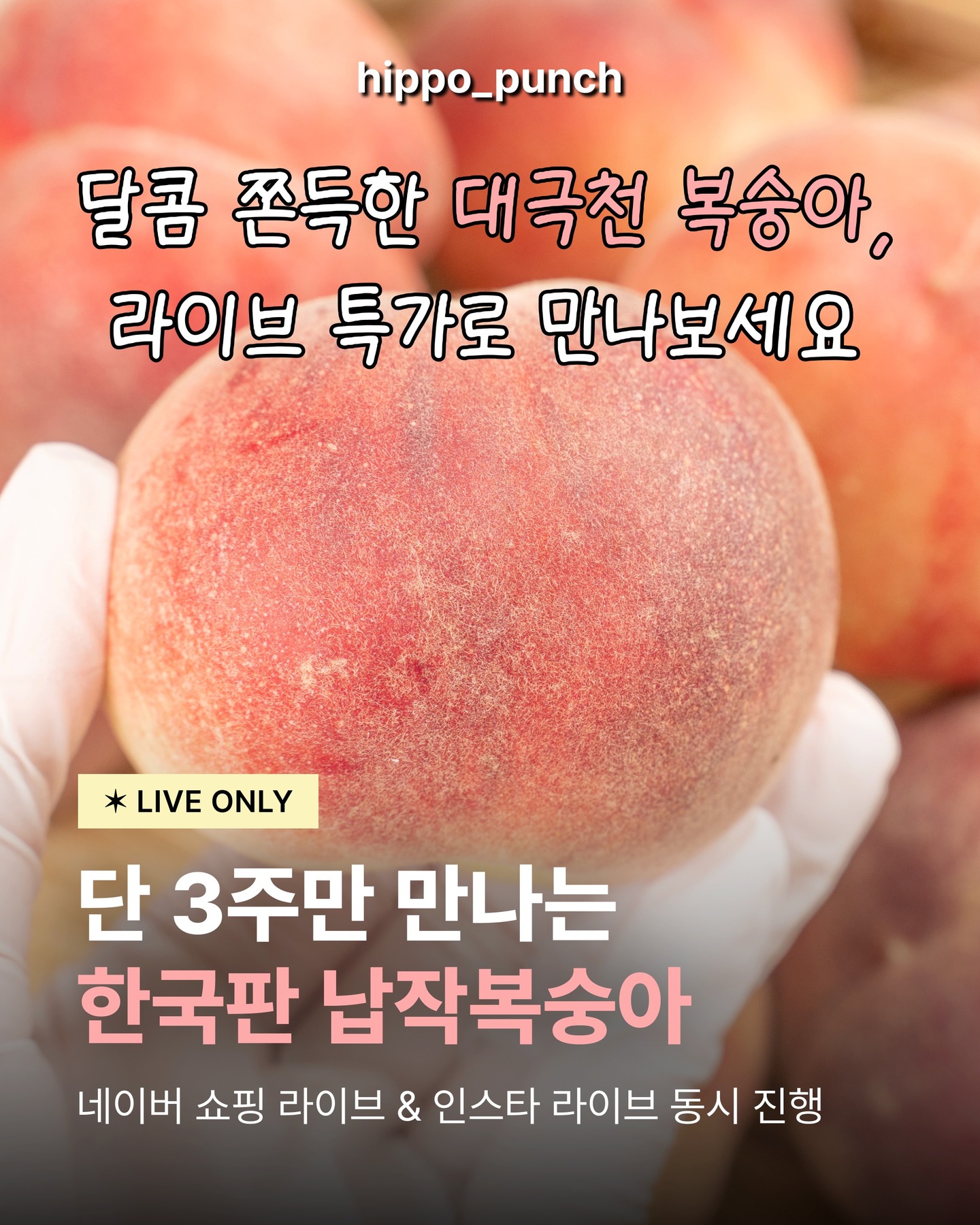 이롭 음식물처리기