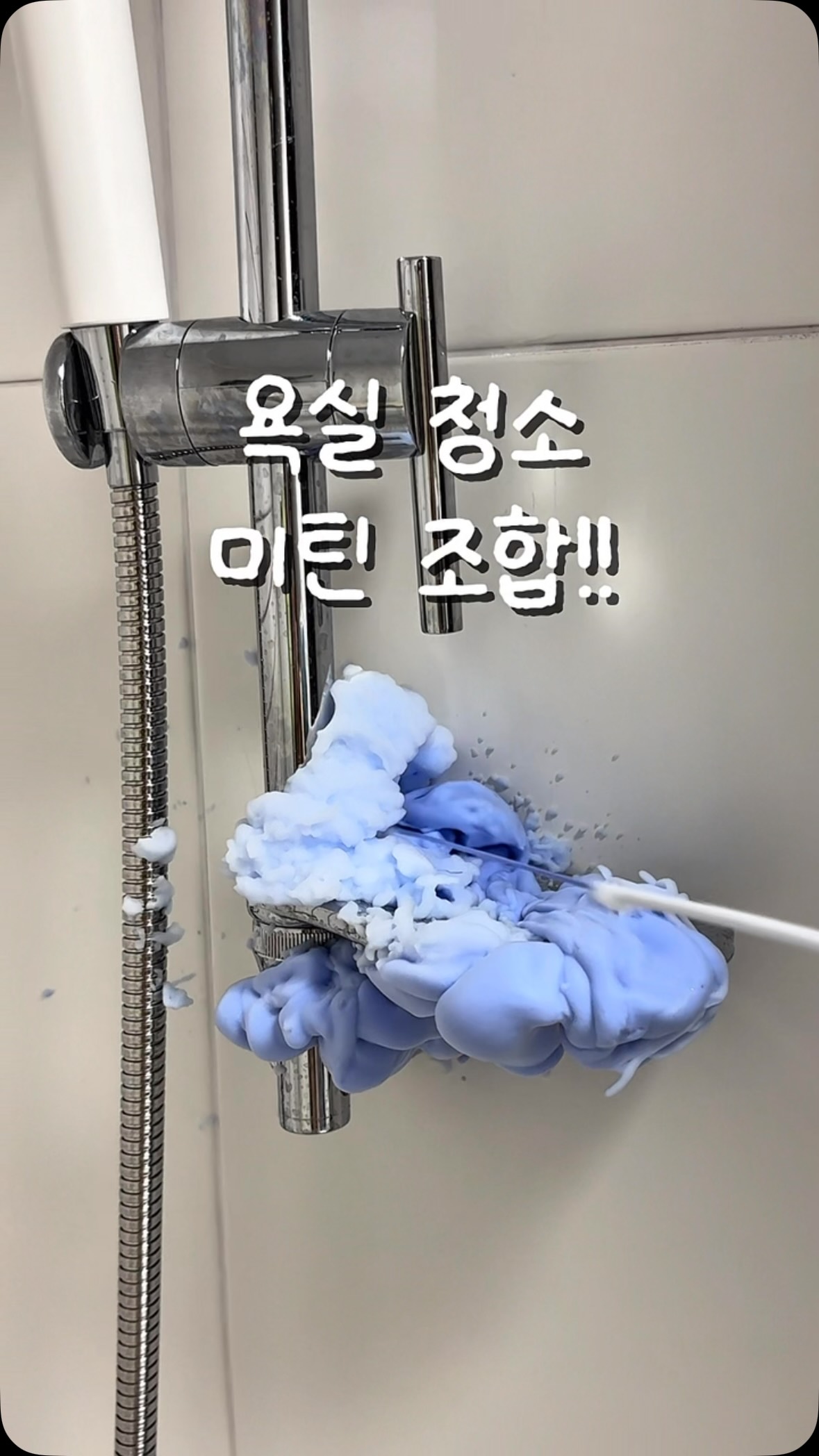 쿠팡 빵 추천