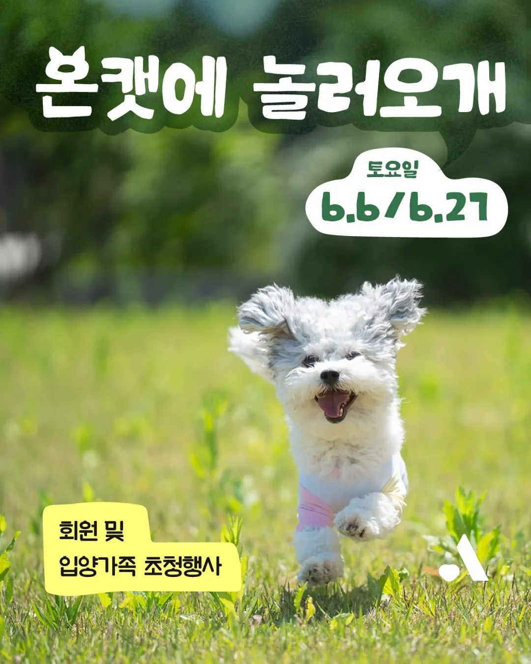 휴대용 접이식 대야 1