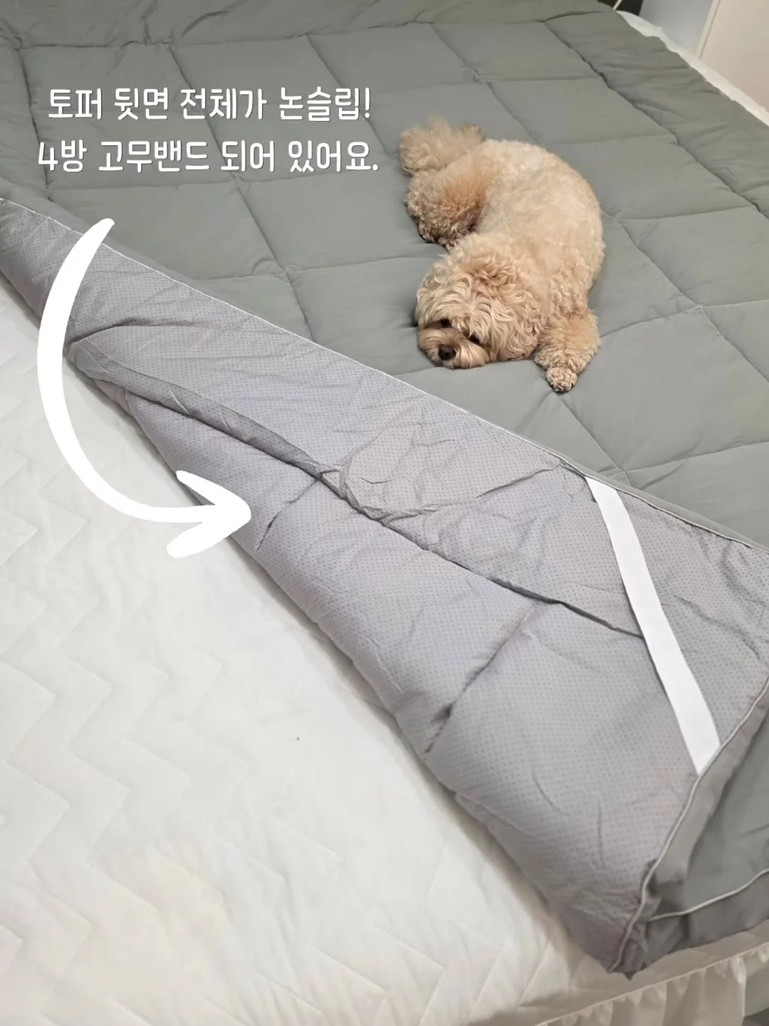 선크림 5