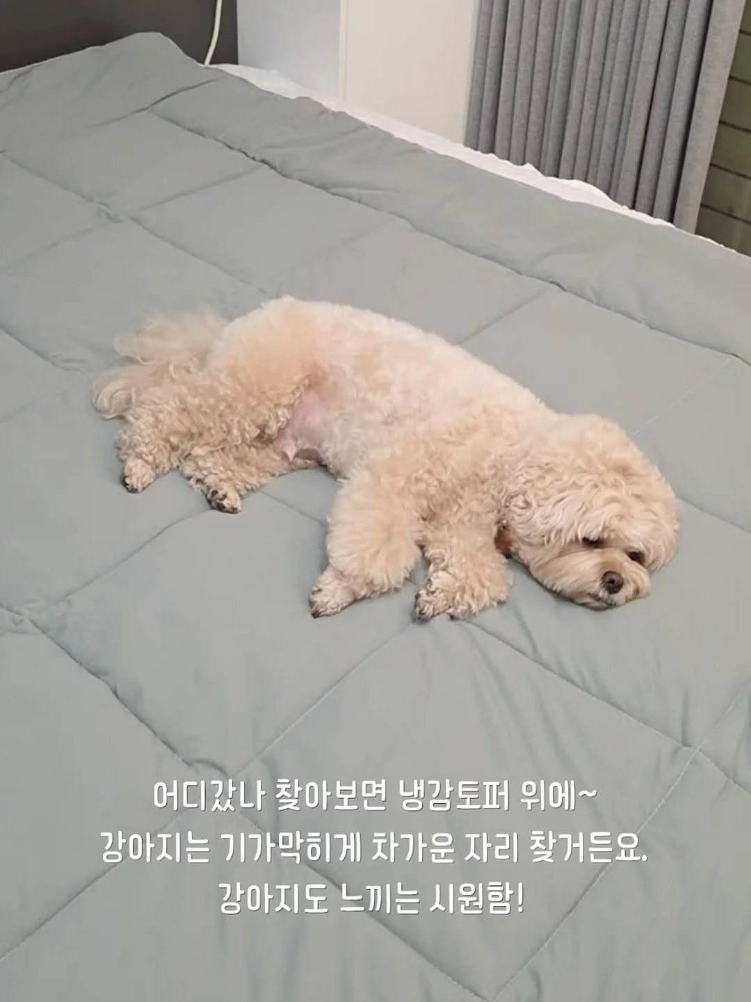 선크림 6