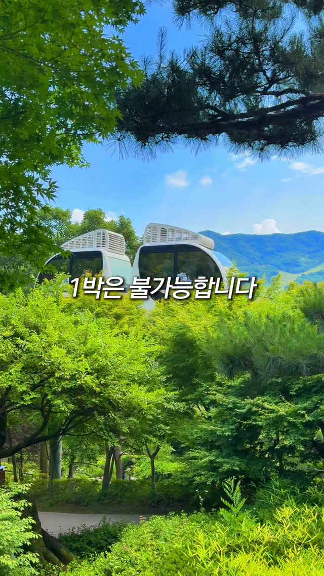 레이 쇼핑템