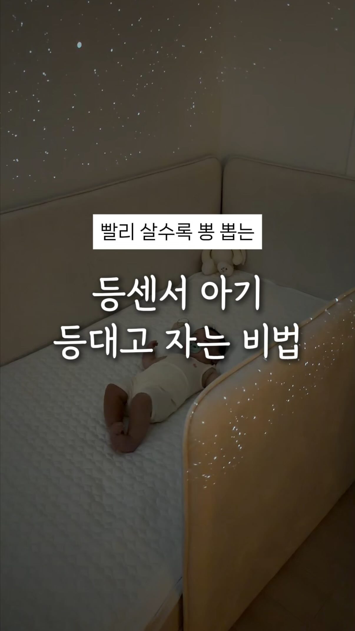 비비선베이스