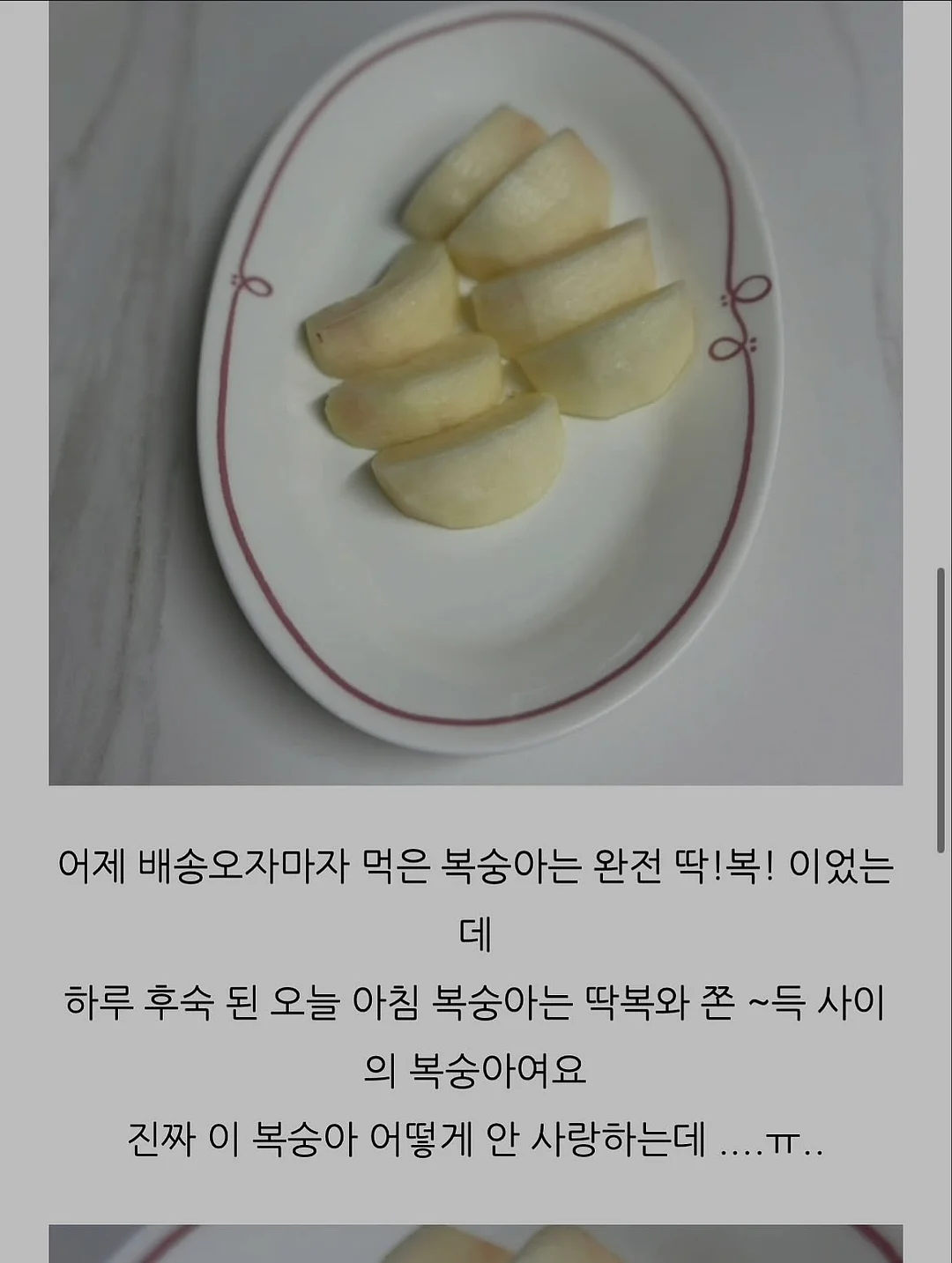 시그니처 리숨 테라피 12
