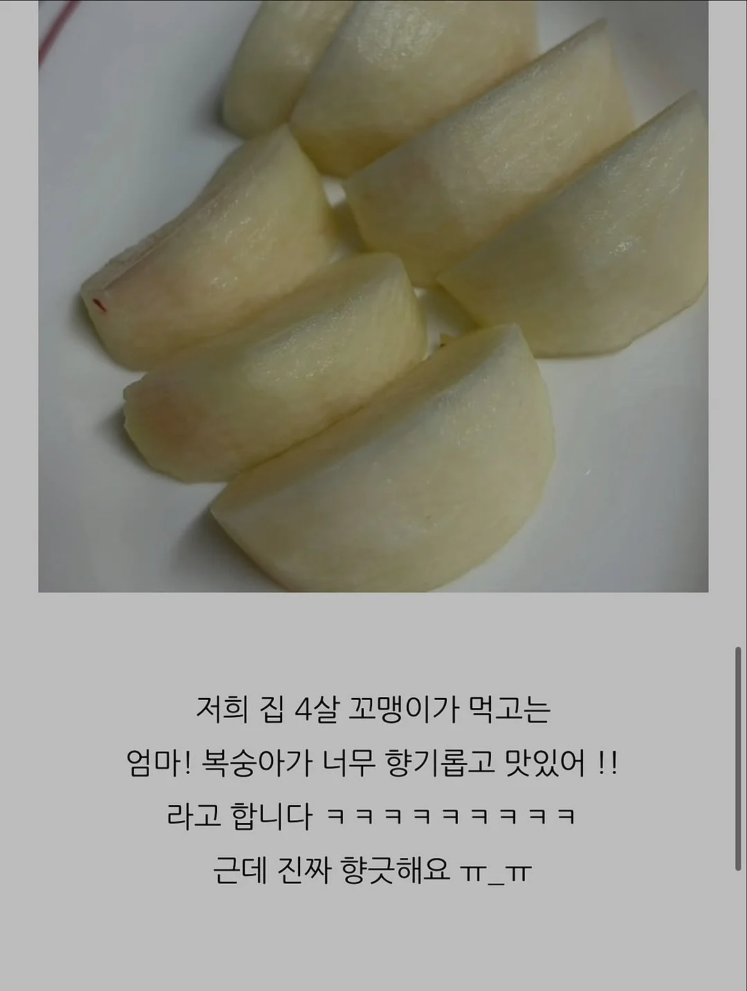 시그니처 리숨 테라피 13