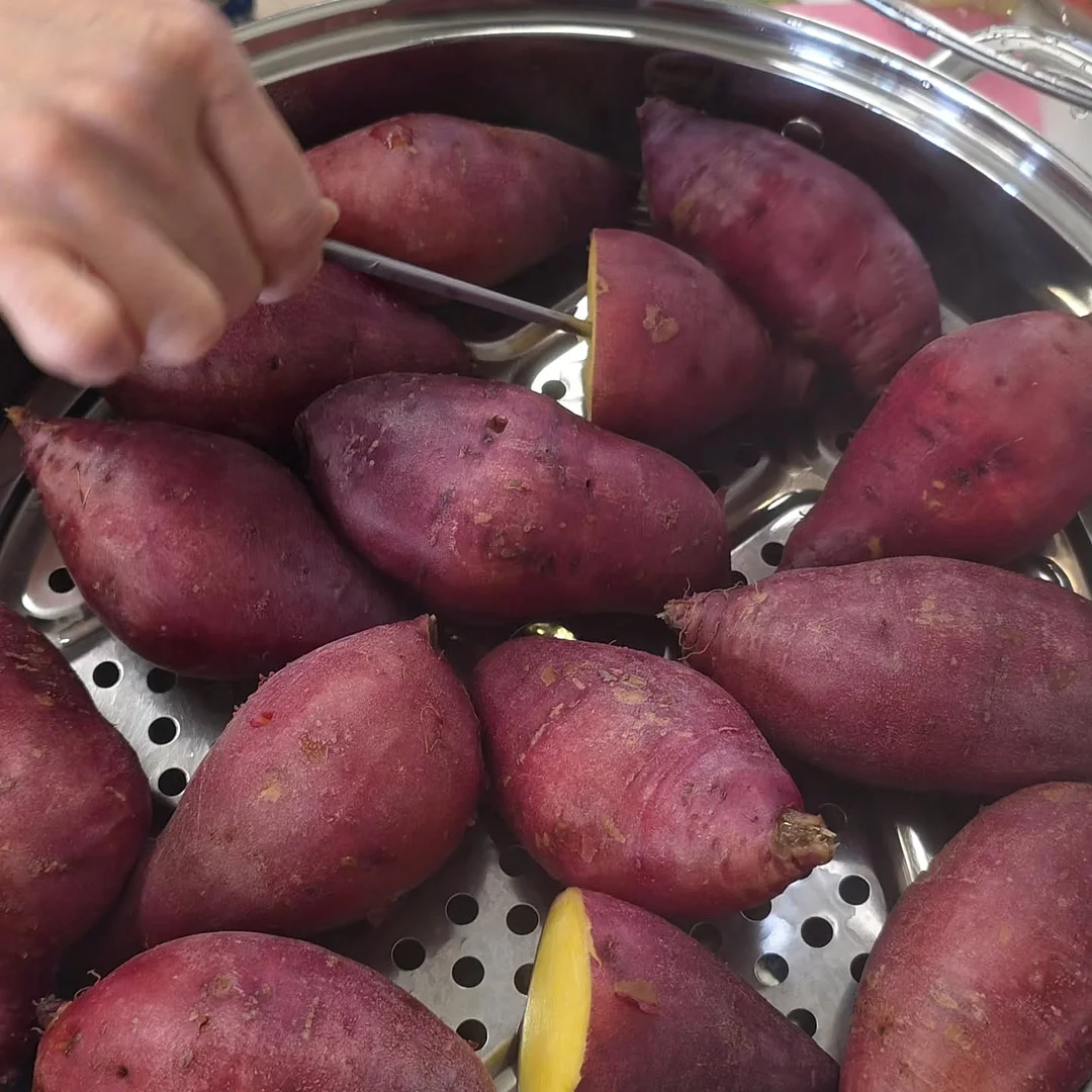 카라티셔츠 3