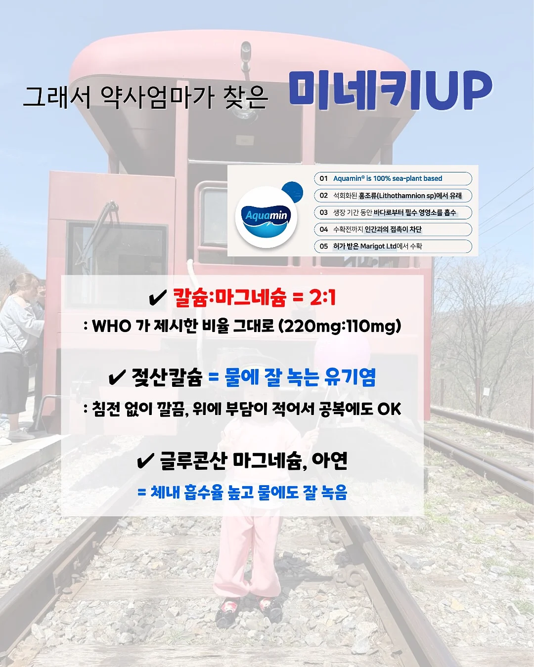 키티 도장 4