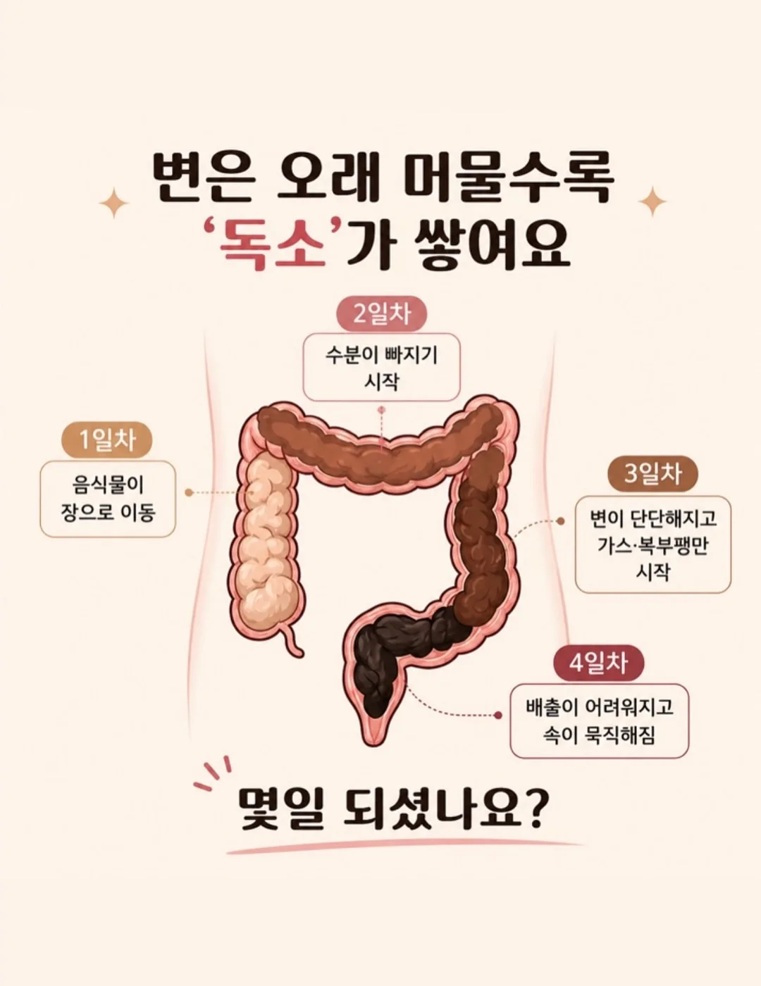 수영장과 해변 숙소 2