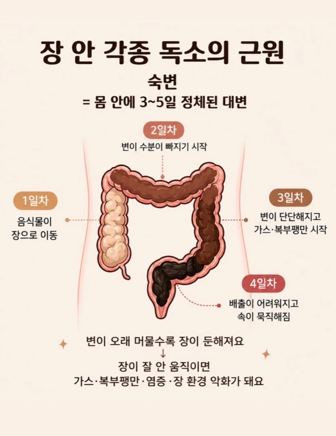 수영장과 해변 숙소 3