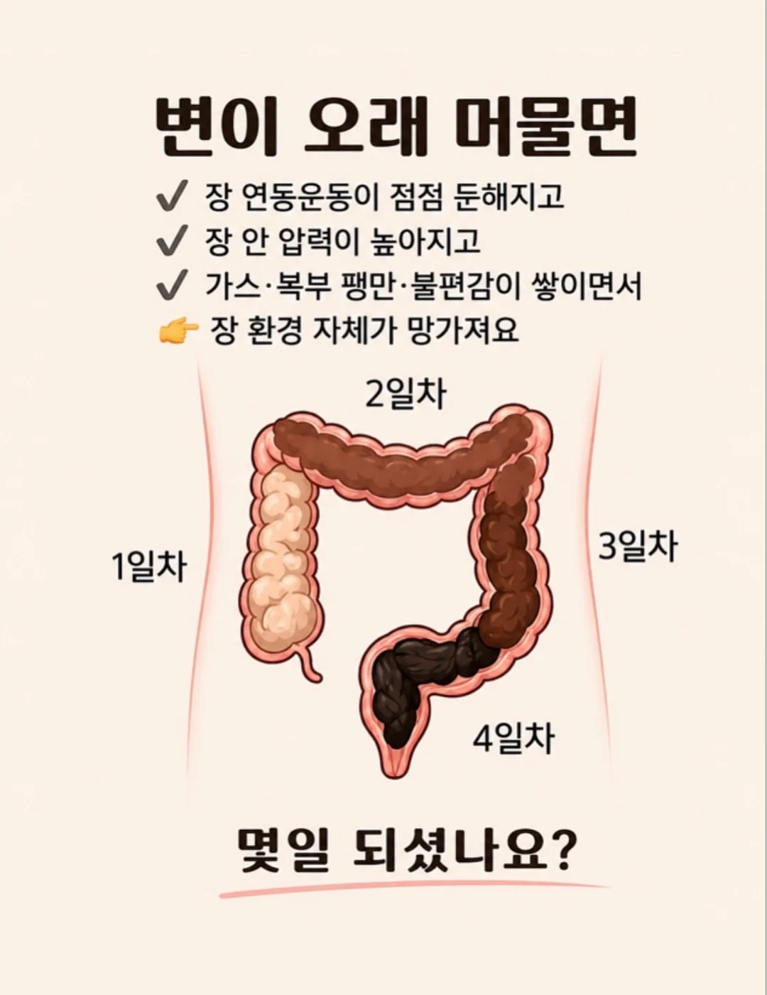 수영장과 해변 숙소 4