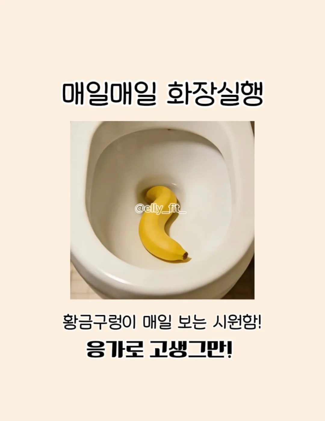 수영장과 해변 숙소 8