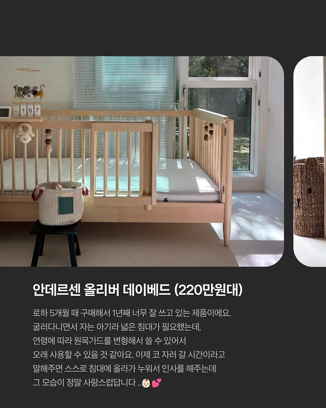 비타민c 5