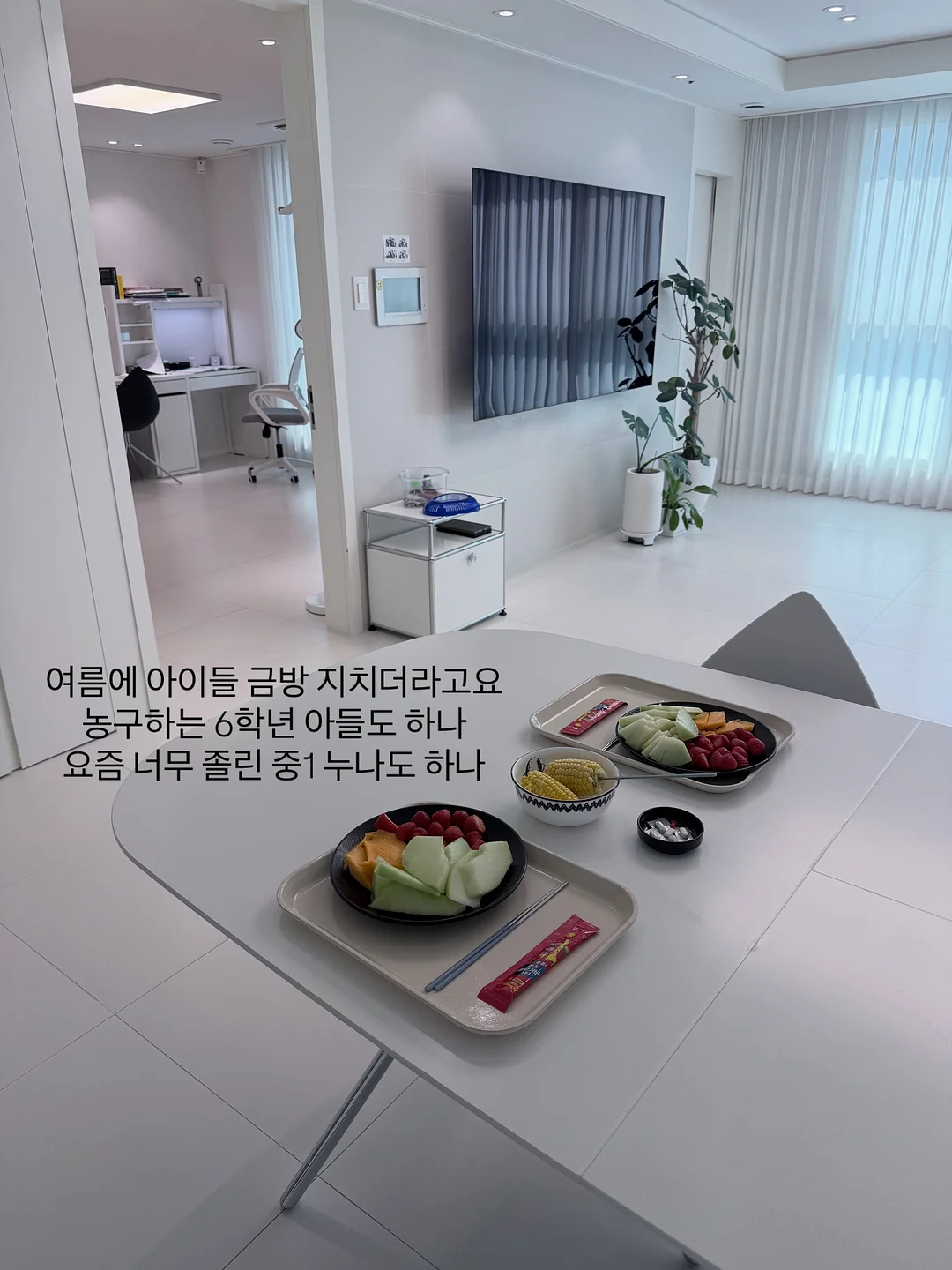 닥터노아 대나무칫솔 1