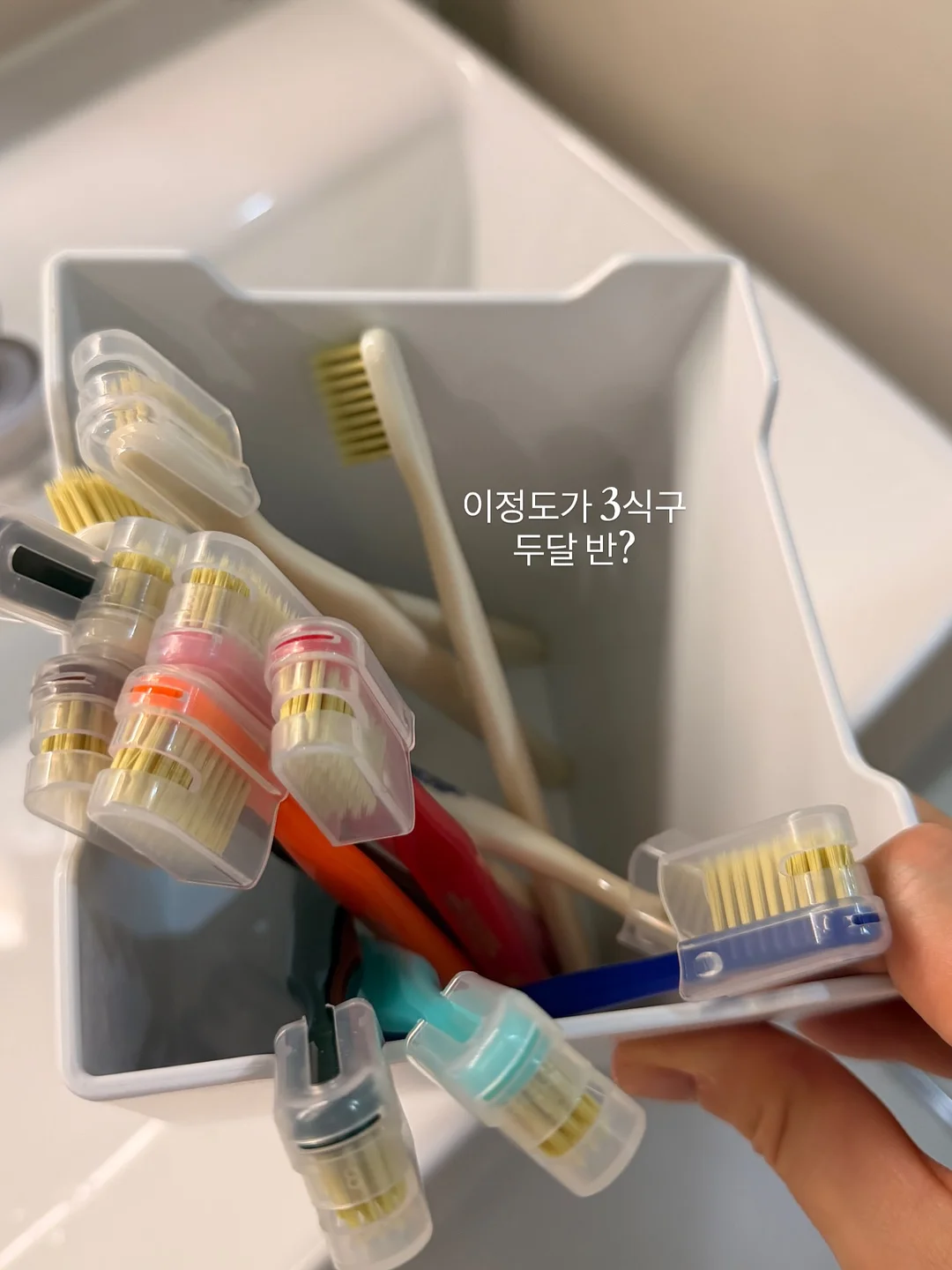 아소부 텀블러 베스티 / 미니베스티 8