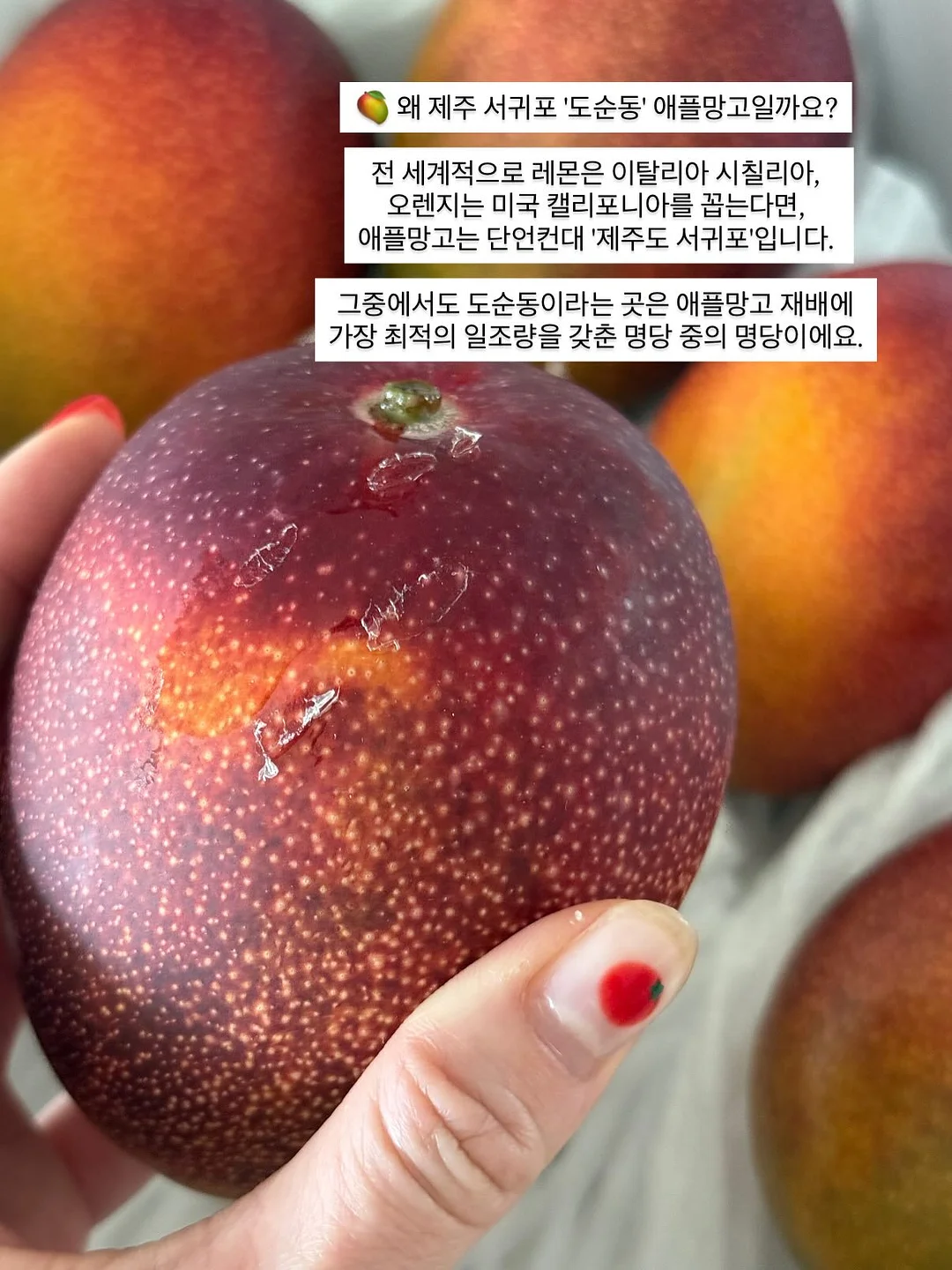 과학 그림책 11
