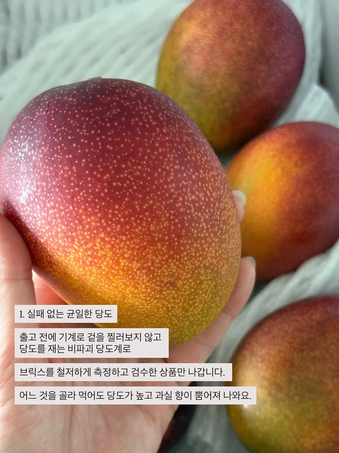과학 그림책 10