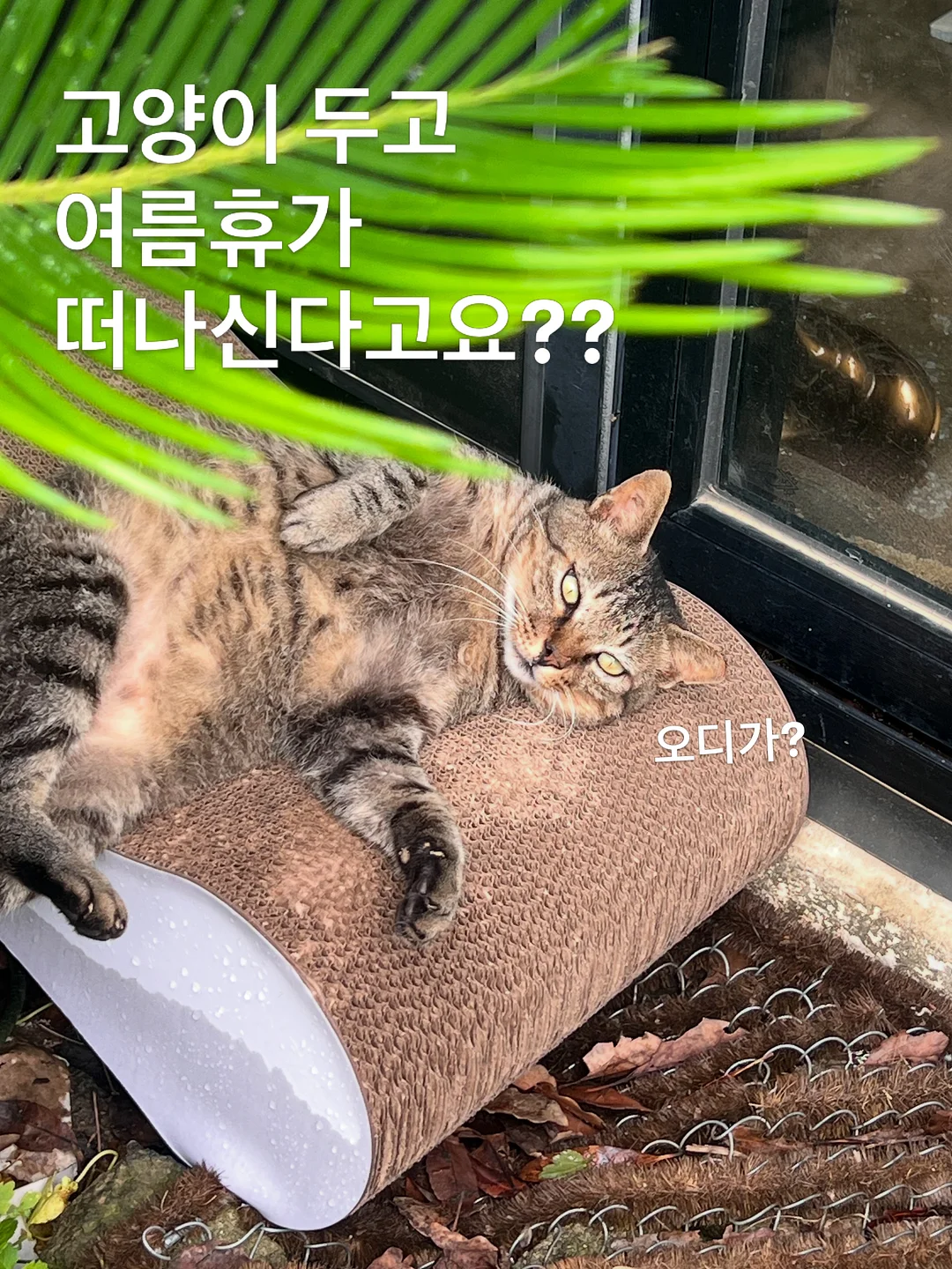 호주 워홀 1