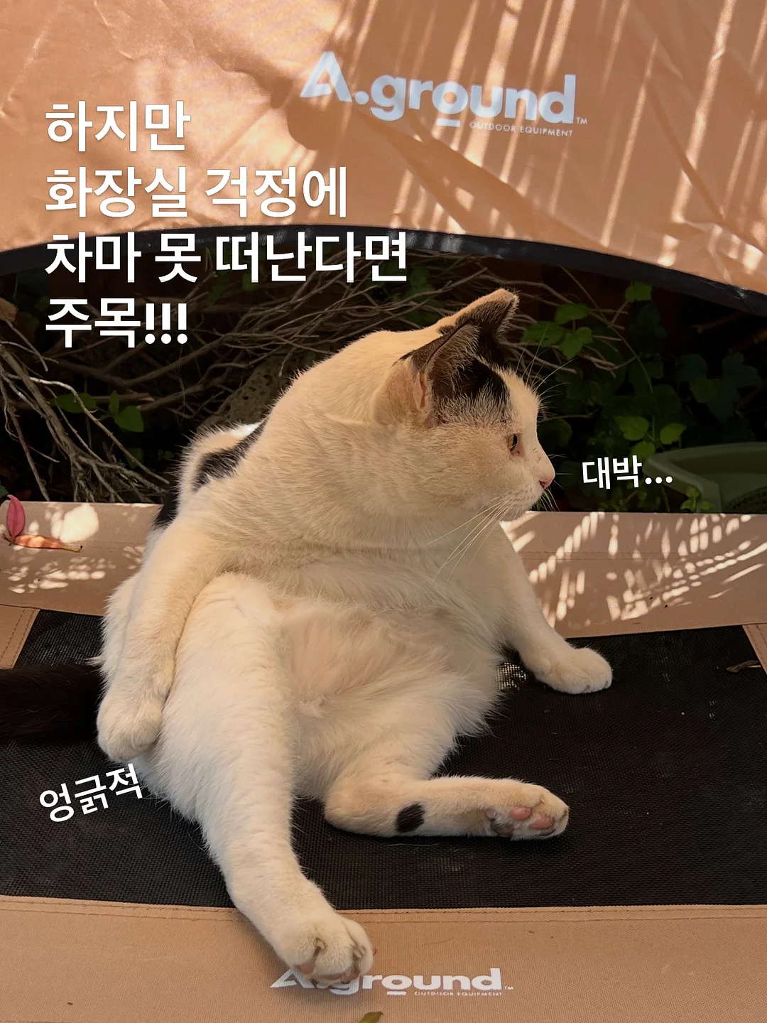 호주 워홀 2